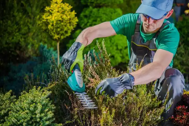 landscaping services Trowbridge Park